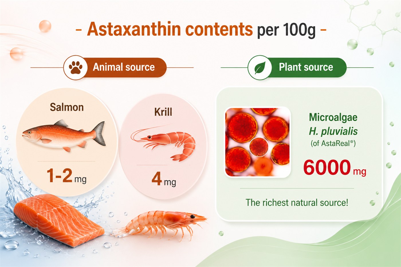 Astaxanthin content per 100g — salmon 1–2 mg, krill 4 mg, Haematococcus pluvialis microalgae 6000 mg