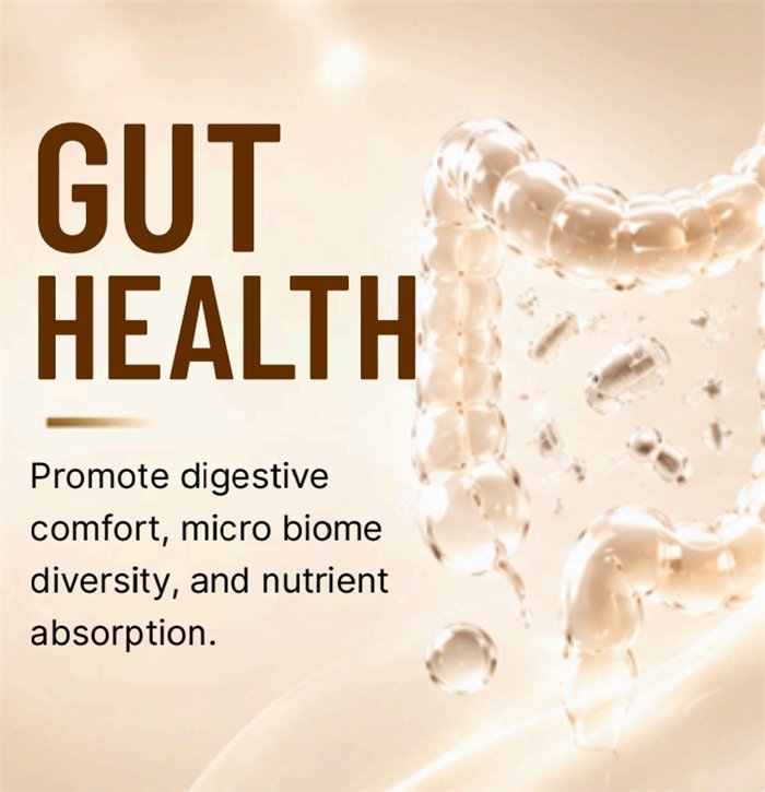 Gut Health — Promote digestive comfort, micro biome diversity, and nutrient absorption.